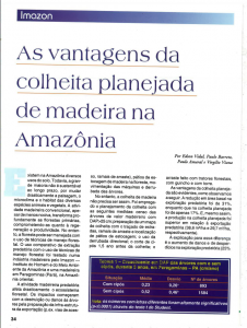 Captura de tela 2025 04 25 091156 226x300 - As vantagens da colheita planejada de madeira na Amazônia.