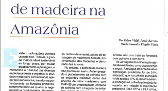 As vantagens da colheita planejada de madeira na Amazônia.
