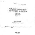 Captura de tela 2025 02 14 144831 150x150 - A atividade madeireira e o desmatamento na Amazônia.