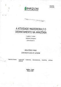 Captura de tela 2025 02 14 144831 212x300 - A atividade madeireira e o desmatamento na Amazônia.