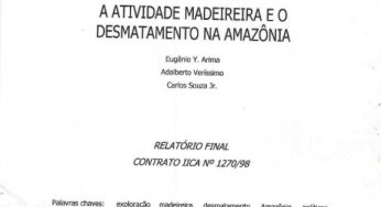 A atividade madeireira e o desmatamento na Amazônia.