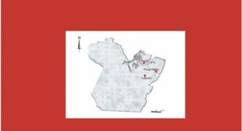 Tendências Econômicas da Indústria Madeireira no Estado do Pará (n° 17)