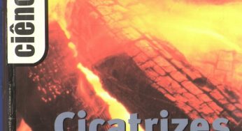 O empobrecimento oculto da floresta Amazônica
