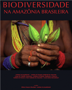 Captura de tela 2025 04 23 092431 242x300 - Eixos Amazônicos de Integração e Desenvolvimento: obras e empreendimentos