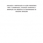 Captura de tela 2025 05 14 110724 150x150 - Avaliação e Identificação de Ações Prioritárias para a Conservação, Utilização Sustentável e Repartição dos Benefícios da Biodiversidade na Amazônia Brasileira