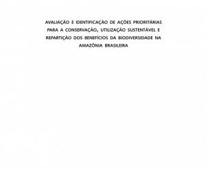 Captura de tela 2025 05 14 110724 300x248 - Avaliação e Identificação de Ações Prioritárias para a Conservação, Utilização Sustentável e Repartição dos Benefícios da Biodiversidade na Amazônia Brasileira