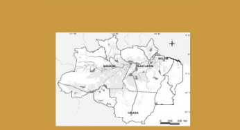 Brasil em Ação: Ameaças e Oportunidades Econômicas na Fronteira Amazônica (nº 19)