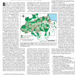 Captura de tela 2025 05 02 095250 150x150 - National Forest in the Amazon