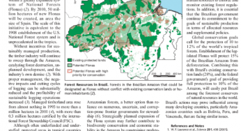 National Forest in the Amazon