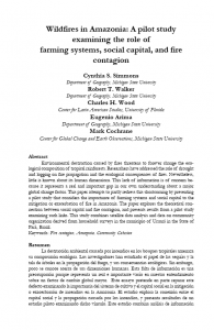 Captura de tela 2025 05 15 090044 195x300 - Wildifires in Amazonia: a pilot study examining the role of farming systems, social capital, and fire contagion