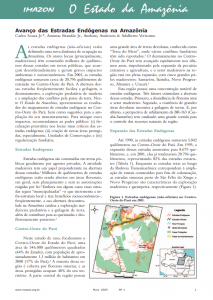 Captura de tela 2025 05 15 103105 213x300 - Avanço das Estradas Endógenas na Amazônia