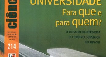 Madeiras nobres em perigo: Práticas e leis atuais de manejo florestal não garantem exploração sustentável