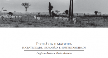 Pecuária e madeira: lucratividade, expansão e sustentabilidade.