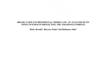 New Brazilian Environmental Crimes Law: an analysis of its effectiveness to protect the forests of Amazônia
