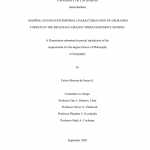 Captura de tela 2025 05 23 094200 150x150 - Mapping and Spatiotemporal Characterization of Degraded Forests in the Brazilian Amazon through Remote Sensing