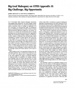 Captura de tela 2025 05 15 101135 257x300 - Big-Leaf Mahogany on CITES Appendix II: Big challenge, big opportunity.