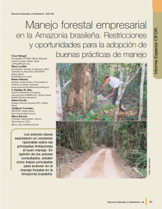 Captura de tela 2025 05 29 085541 1 232x300 - Manejo forestal empresarial en la Amazonia brasileña. Restricciones y oportunidades para la adopción de buenas prácticas de manejo.