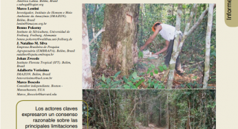 Manejo forestal empresarial en la Amazonia brasileña. Restricciones y oportunidades para la adopción de buenas prácticas de manejo.