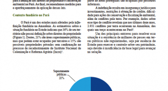Impactos das novas leis fundiárias na definição de direitos de propriedade no Pará