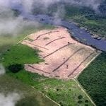 artigocie30 150x150 - Impactos da exploração madeireira e do fogo em florestas de transição da Amazonia Legal. Scientia Forestalis (IPEF)