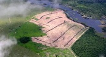Sources of error in a video-derived reference data set for accuracy assessment of land-cover maps in the Amazon