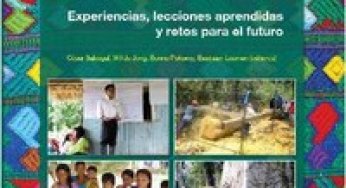 Capacidades organizativas para el manejo forestal comunitario frente a las demandas y expectativas oficiales.