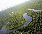 artigocie101 150x120 - Logging along the Amazon river and estuary: patterns, problems and potential