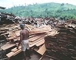 artigocie17 150x120 - Conversion efficiency and opportunities for waste reduction in the log processing industries of eastern Pará State, Amazônia