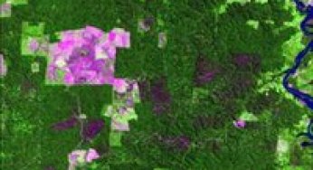 The Fragmentation of Space in the Amazon. Photogrammetric Engineering & Remote Sensing.