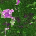 artigocie19 150x150 - Comparação entre imagens Landsat ETM + E MODIS/TERRA para detecção de incrementos de desmatamento na região do Baixo Acre.