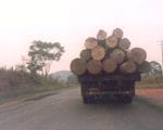 artigocie20 150x120 - Desmatamento e estradas não-oficiais da Amazônia.