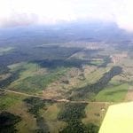 artigocie22 1 150x150 - Multi-temporal analysis of degraded forests in the Southern Brazilian Amazon.