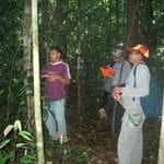 artigocie24 150x150 - Crescimento de floresta tropical três anos após colheita de madeira com e sem manejo florestal na Amazônia oriental.