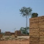 artigocie3 150x150 - Wood as an economic catalystic to ecological change in Amazonia