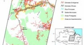 Road Networks and Forest Fragmentation in the Amazon: Explanations for Local Differences with Implications for Conservation and Development.