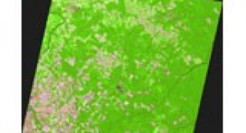 Selective Logging and its Relation to Deforestation.