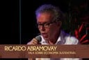 economia sustentavel 1 - Literatura & Sustentabilidade - Ricardo Abramovay fala sobre economia sustentável