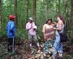 o manejo florestal como estrategia 150x120 - Manejo e política florestal na Amazônia