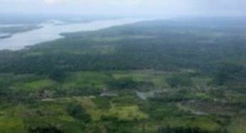 Os perigos da privatização generosa de terras na Amazônia: Análise sobre o Relatório da Medida Provisória nº 458/2009
