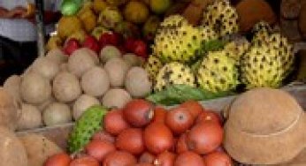 Índice de Preços de Produtos da Floresta – Primeiro Semestre de 2011