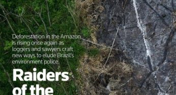 Raiders of the rainforest