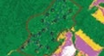 Foreseen: A forest and remote sensing exchanges Network Proceedings.