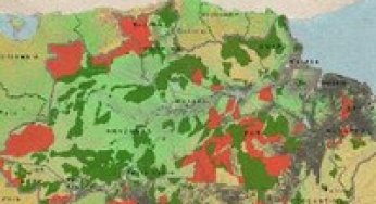 A Impunidade de Crimes Ambientais em Áreas Protegidas Federais na Amazônia
