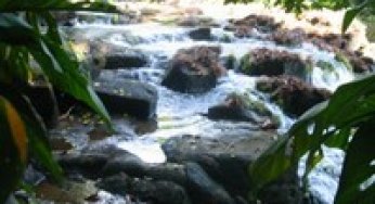 A Impunidade de Infratores Ambientais em Áreas Protegidas da Amazônia