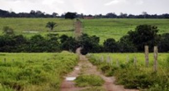 Did Land Regularization Advance in the Amazon? Two years of the Legal Land Program – Executive Summary