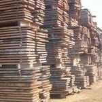 acertando o alvo consumo de madeira 150x150 - Acertando o Alvo: Consumo de Madeira no Mercado Interno Brasileiro e Promoção da Certificação Florestal