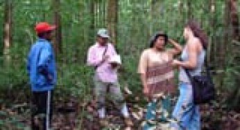 Análise da legislação para o manejo florestal por produtores de pequena escala na Amazônia Brasileira.