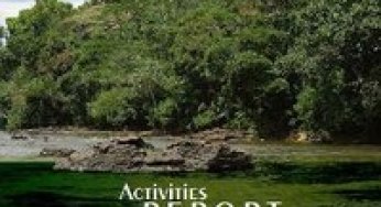 Annual Report 2008