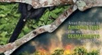 Áreas Protegidas da Amazônia Legal com mais Alertas de Desmatamento em 2012-2013
