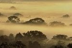 areas protegidas na amazonia brasileira avancos 150x100 - Áreas Protegidas na Amazônia Brasileira: avanços e desafios